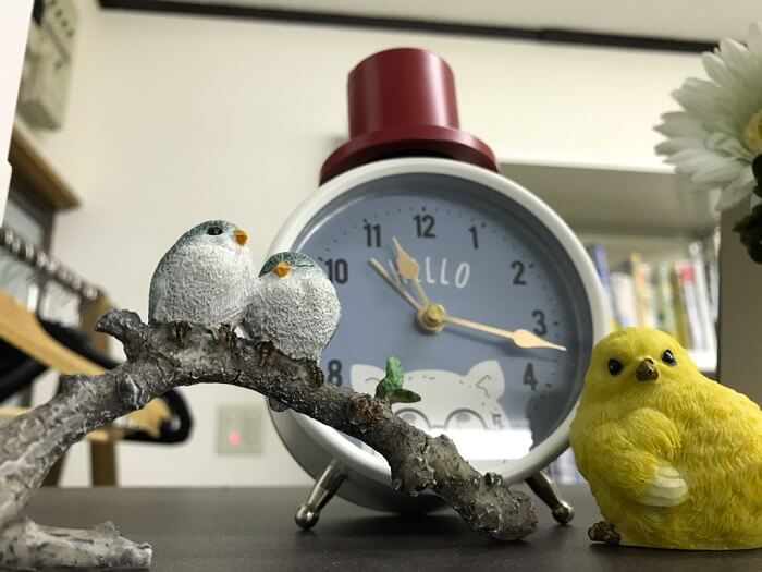 時計と小鳥たち